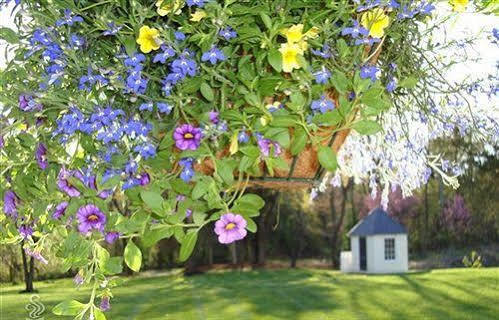 Chestnut Hill Bed & Breakfast Orange Екстер'єр фото